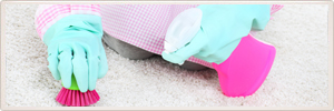 Carpet cleaning gloves