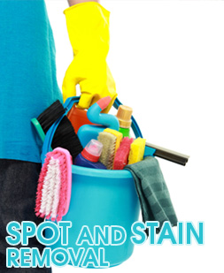 Spot & stain removal